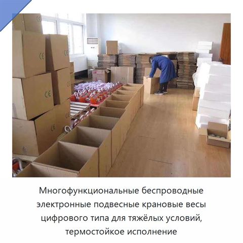 Многофункциональные беспроводные электронные подвесные крановые весы цифрового типа для тяжёлых условий, термостойкое исполнение