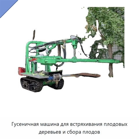 Гусеничная машина для встряхивания плодовых деревьев и сбора плодов