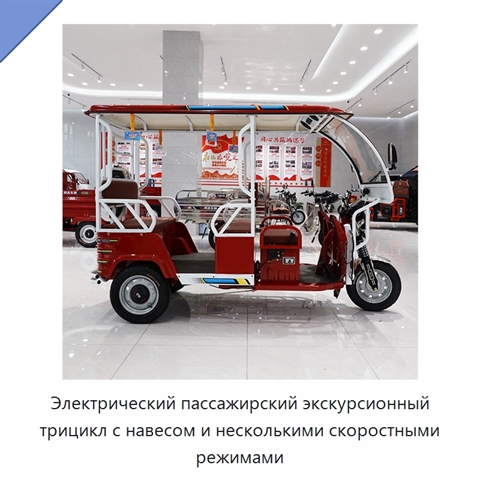 Электрический пассажирский экскурсионный трицикл с навесом и несколькими скоростными режимами
