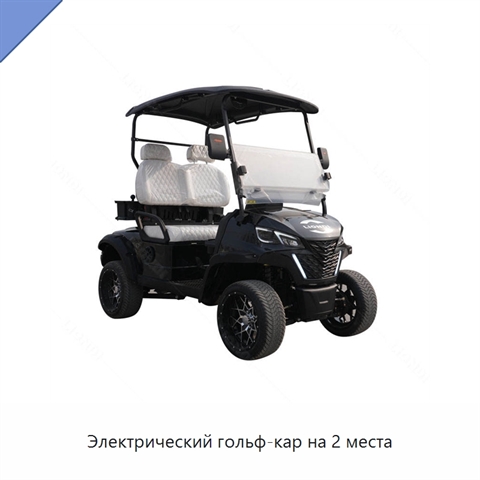 Электрический гольф-кар на 2 места