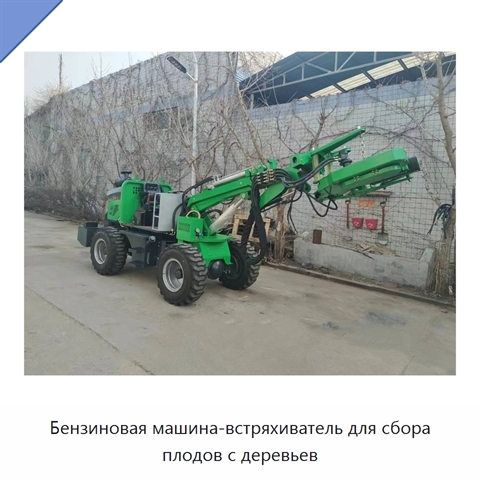Бензиновая машина-встряхиватель для сбора плодов с деревьев