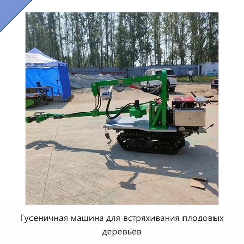 Гусеничная машина для встряхивания плодовых деревьев