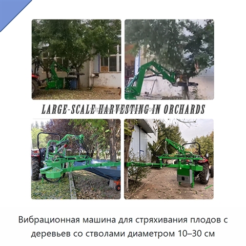 Вибрационная машина для стряхивания плодов с деревьев со стволами диаметром 10–30 см