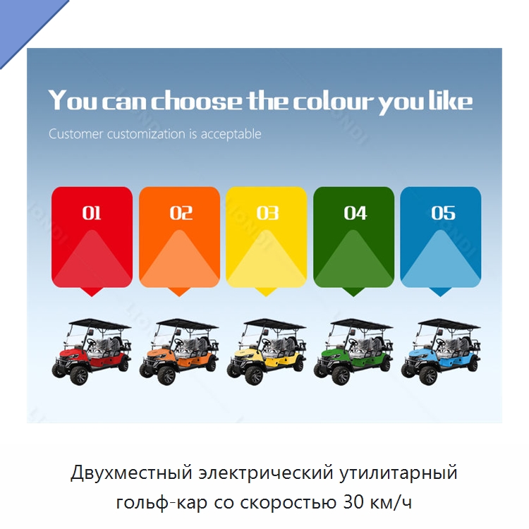 Двухместный электрический утилитарный гольф-кар со скоростью 30 км/ч — Специальные конвейеры