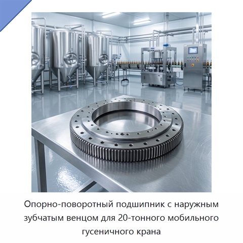 Опорно-поворотный подшипник с наружным зубчатым венцом для 20-тонного мобильного гусеничного крана