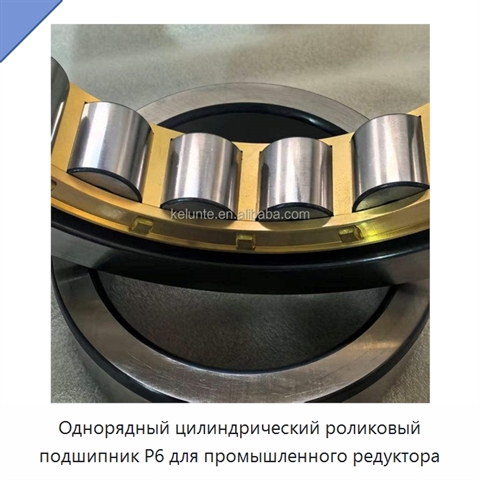 Однорядный цилиндрический роликовый подшипник P6 для промышленного редуктора