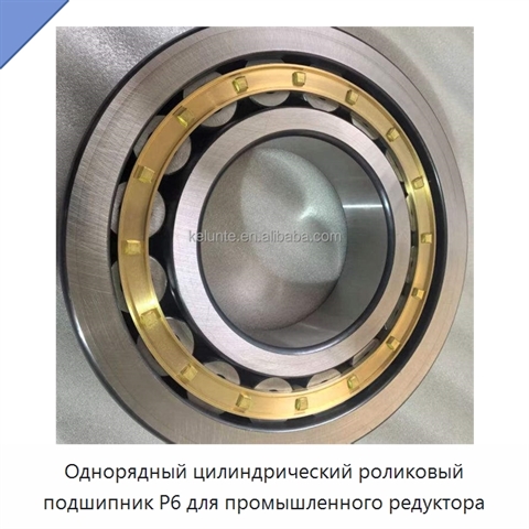 Однорядный цилиндрический роликовый подшипник P6 для промышленного редуктора