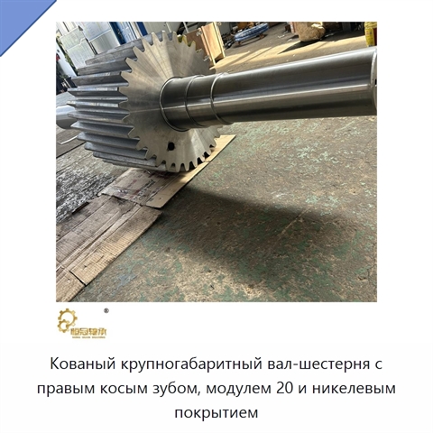 Кованый крупногабаритный вал-шестерня с правым косым зубом, модулем 20 и никелевым покрытием