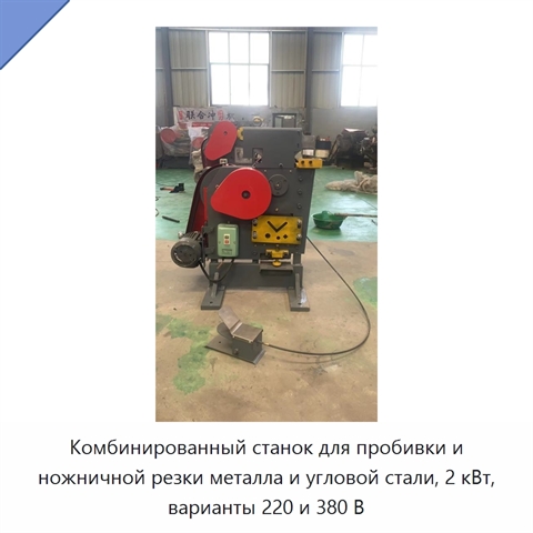 Комбинированный станок для пробивки и ножничной резки металла и угловой стали, 2 кВт, варианты 220 и 380 В