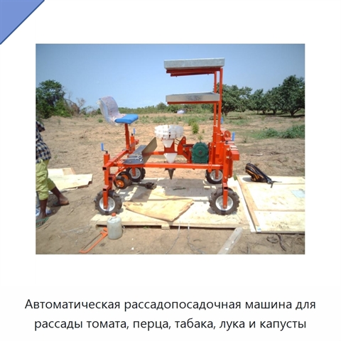 Автоматическая рассадопосадочная машина для рассады томата, перца, табака, лука и капусты