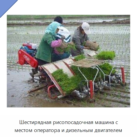 Шестирядная рисопосадочная машина с местом оператора и дизельным двигателем