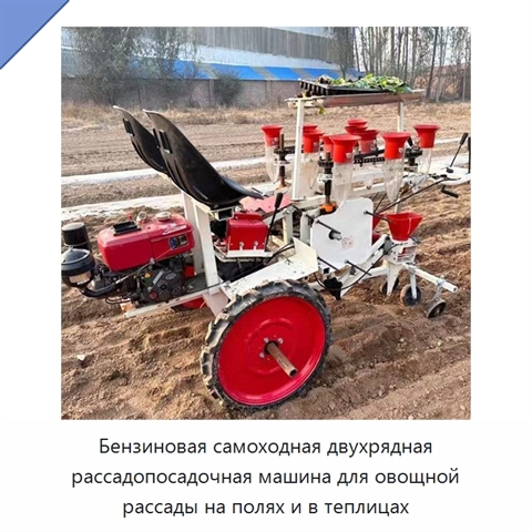 Бензиновая самоходная двухрядная рассадопосадочная машина для овощной рассады на полях и в теплицах