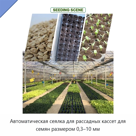 Автоматическая сеялка для рассадных кассет для семян размером 0,3–10 мм