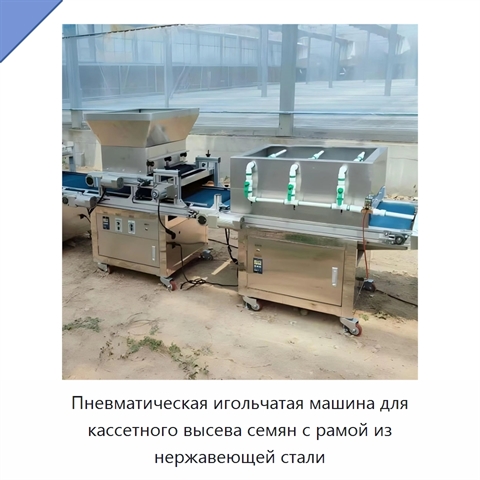 Пневматическая игольчатая машина для кассетного высева семян с рамой из нержавеющей стали