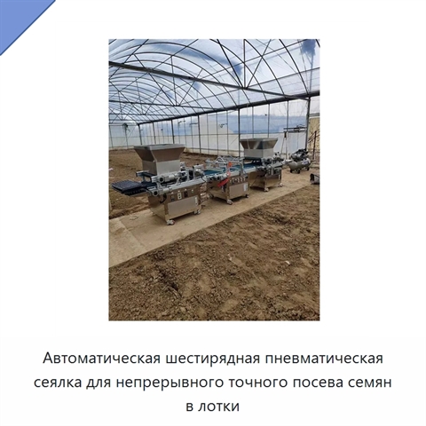 Автоматическая шестирядная пневматическая сеялка для непрерывного точного посева семян в лотки