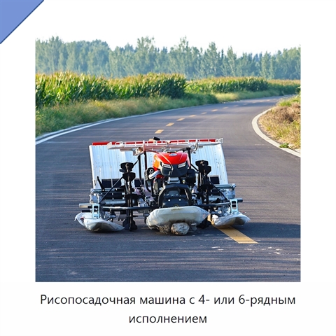 Рисопосадочная машина с 4- или 6-рядным исполнением