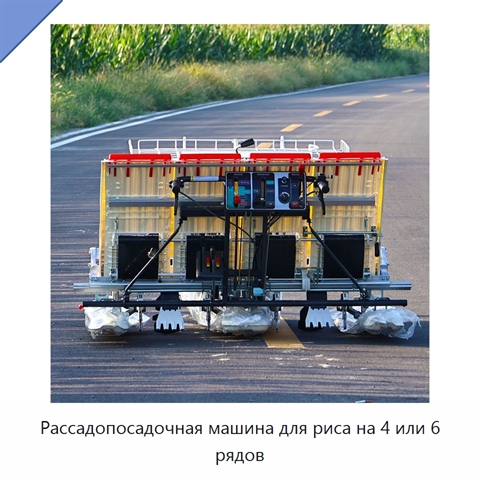Рассадопосадочная машина для риса на 4 или 6 рядов