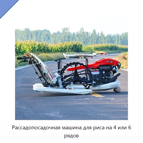 Рассадопосадочная машина для риса на 4 или 6 рядов