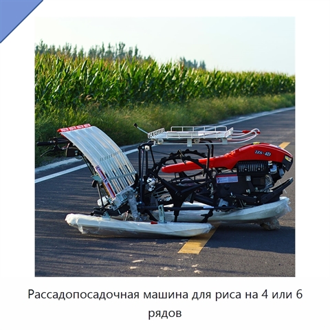 Рассадопосадочная машина для риса на 4 или 6 рядов