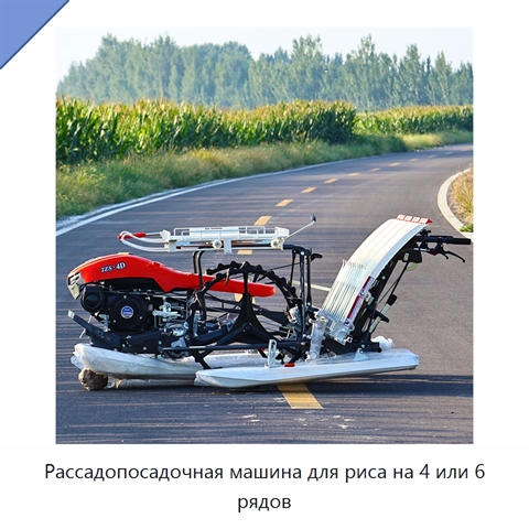 Рассадопосадочная машина для риса на 4 или 6 рядов