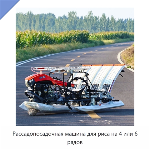 Рассадопосадочная машина для риса на 4 или 6 рядов
