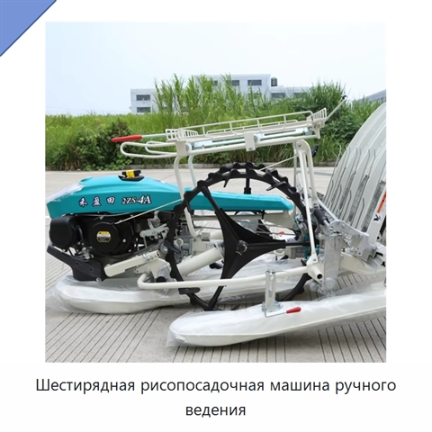 Шестирядная рисопосадочная машина ручного ведения