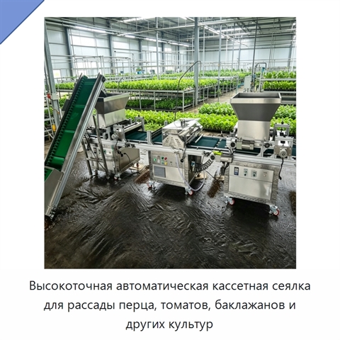 Высокоточная автоматическая кассетная сеялка для рассады перца, томатов, баклажанов и других культур