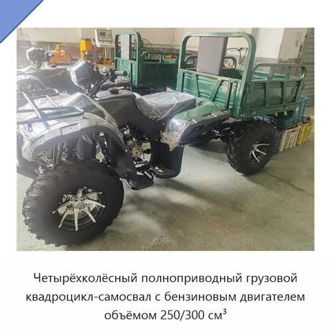Четырёхколёсный полноприводный грузовой квадроцикл-самосвал с бензиновым двигателем объёмом 250/300 см³