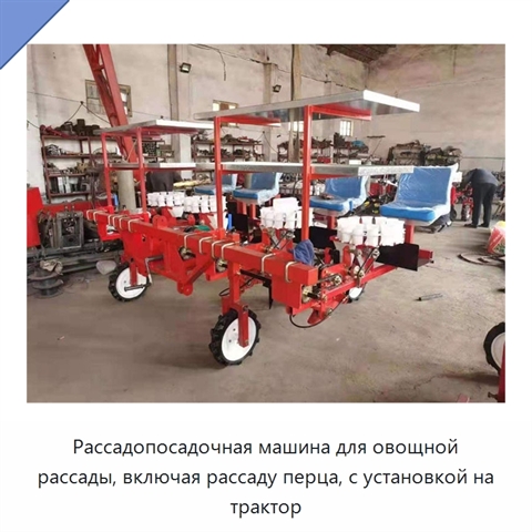Рассадопосадочная машина для овощной рассады, включая рассаду перца, с установкой на трактор