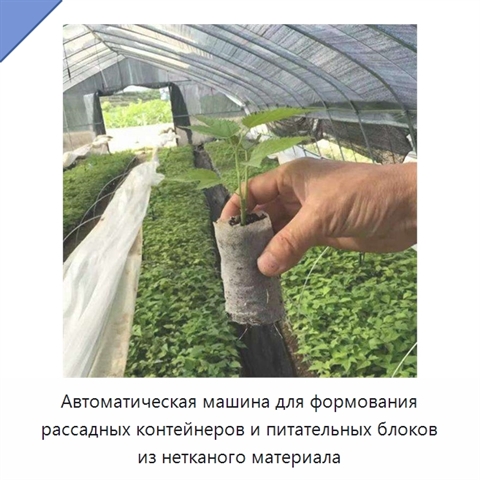 Автоматическая машина для формования рассадных контейнеров и питательных блоков из нетканого материала