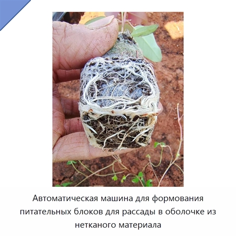 Автоматическая машина для формования питательных блоков для рассады в оболочке из нетканого материала