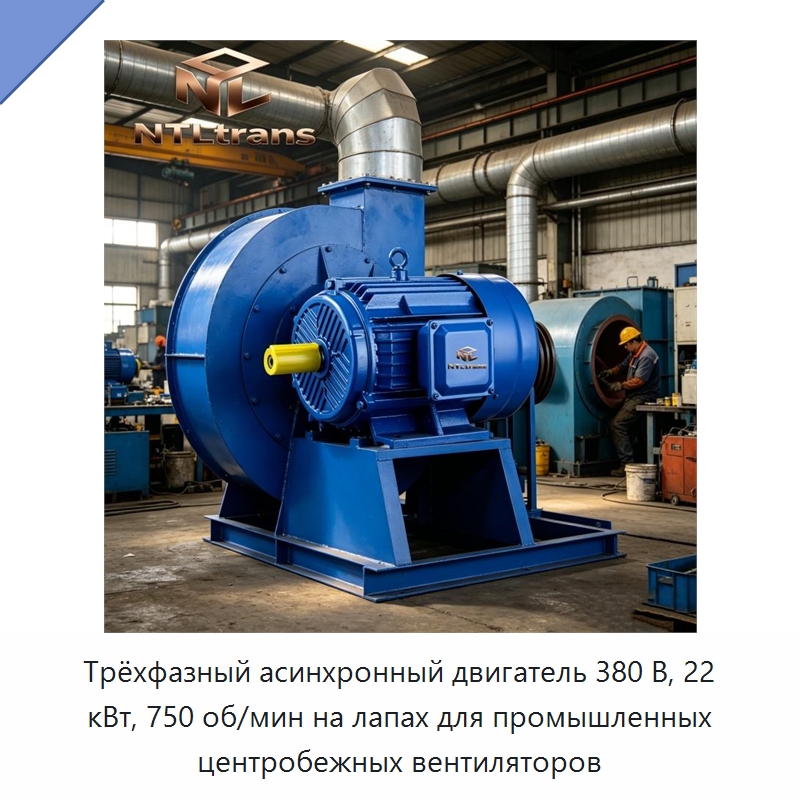 Трёхфазный асинхронный двигатель 380 В, 22 кВт, 750 об/мин на лапах для промышленных центробежных вентиляторов — Электродвигатели переменного тока