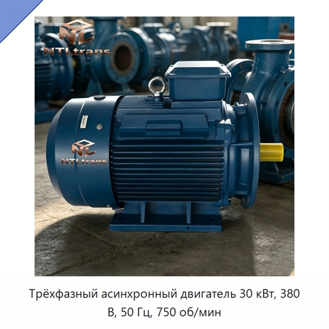 Трёхфазный асинхронный двигатель 30 кВт, 380 В, 50 Гц, 750 об/мин
