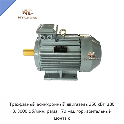 Трёхфазный асинхронный двигатель 250 кВт, 380 В, 3000 об/мин, рама 170 мм, горизонтальный монтаж
