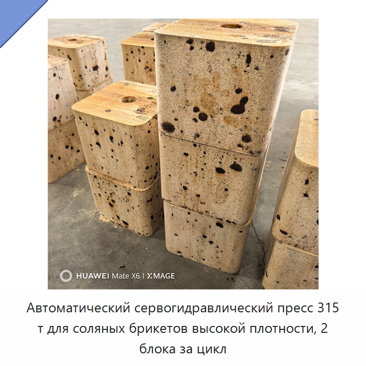 Автоматический сервогидравлический пресс 315 т для соляных брикетов высокой плотности, 2 блока за цикл