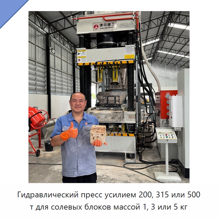 Гидравлический пресс усилием 200, 315 или 500 т для солевых блоков массой 1, 3 или 5 кг — Гидравлические прессы