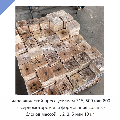 Гидравлический пресс усилием 315, 500 или 800 т с сервомотором для формования соляных блоков массой 1, 2, 3, 5 или 10 кг