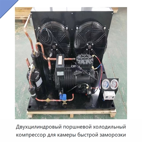 Двухцилиндровый поршневой холодильный компрессор для камеры быстрой заморозки