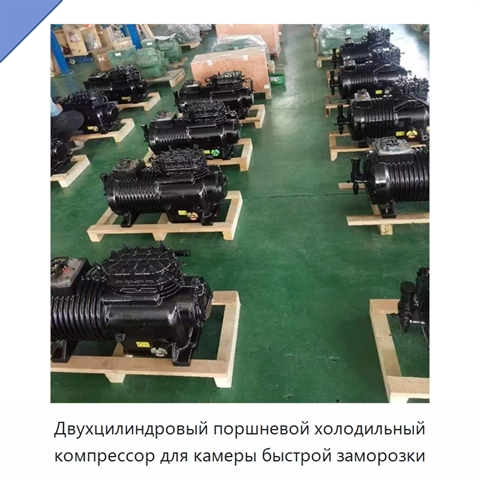 Двухцилиндровый поршневой холодильный компрессор для камеры быстрой заморозки
