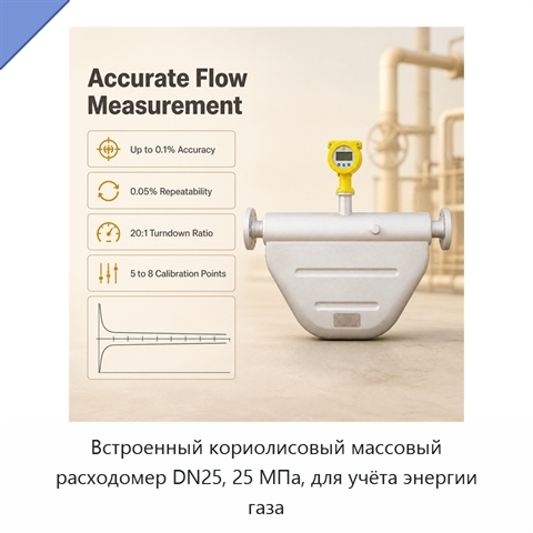 Встроенный кориолисовый массовый расходомер DN25, 25 МПа, для учёта энергии газа