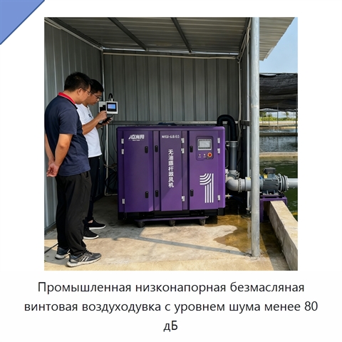 Промышленная низконапорная безмасляная винтовая воздуходувка с уровнем шума менее 80 дБ