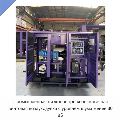 Промышленная низконапорная безмасляная винтовая воздуходувка с уровнем шума менее 80 дБ
