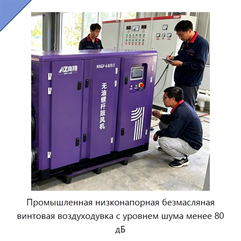Промышленная низконапорная безмасляная винтовая воздуходувка с уровнем шума менее 80 дБ