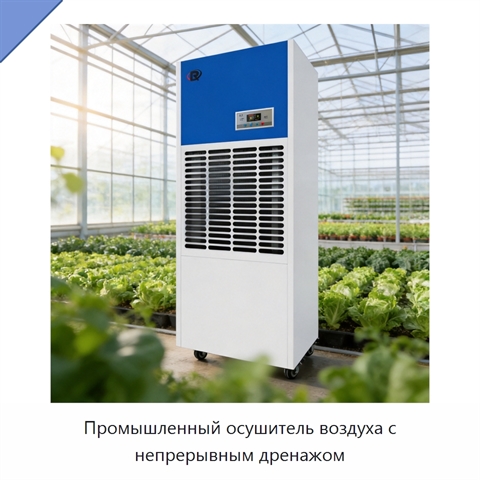Промышленный осушитель воздуха с непрерывным дренажом