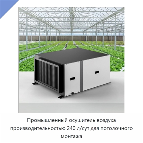 Промышленный осушитель воздуха производительностью 240 л/сут для потолочного монтажа