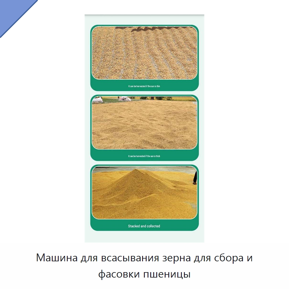 Машина для всасывания зерна для сбора и фасовки пшеницы