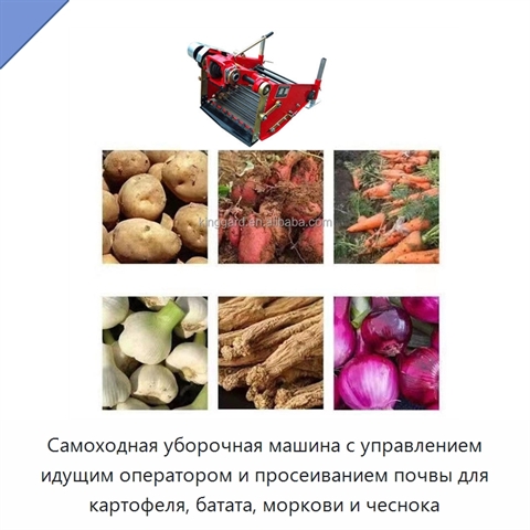 Самоходная уборочная машина с управлением идущим оператором и просеиванием почвы для картофеля, батата, моркови и чеснока