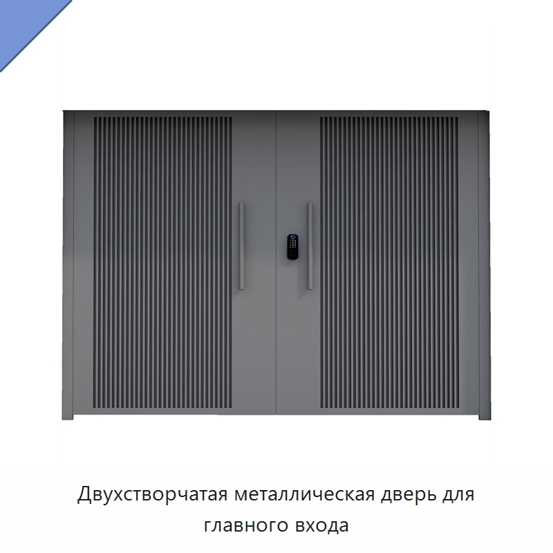 Двухстворчатая металлическая дверь для главного входа — Наружные двери