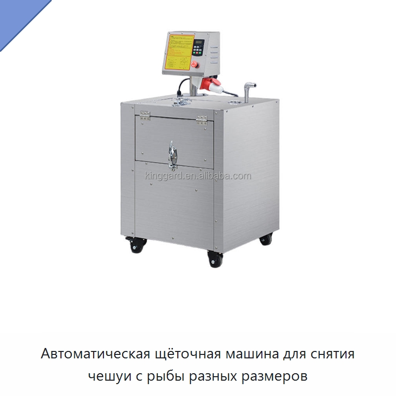 Автоматическая щёточная машина для снятия чешуи с рыбы разных размеров — Рыбоперерабатывающее оборудование