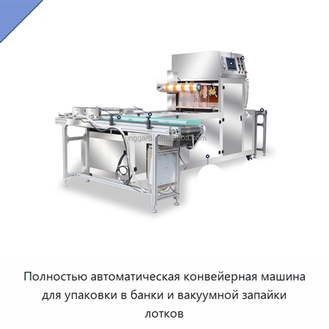 Полностью автоматическая конвейерная машина для упаковки в банки и вакуумной запайки лотков